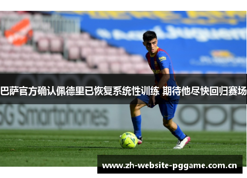 巴萨官方确认佩德里已恢复系统性训练 期待他尽快回归赛场 巴萨官方确认佩德里已恢复系统性训练 期待他尽快回归赛场